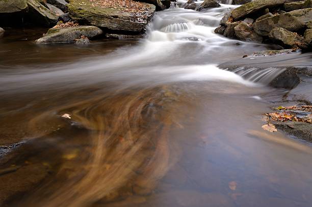 istock Rotation leaves in the creek 521574175