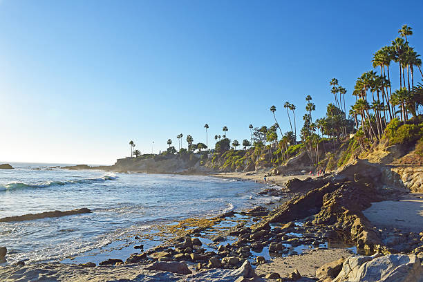 istock Laguna Beach Coastline & Gardens 521575423
