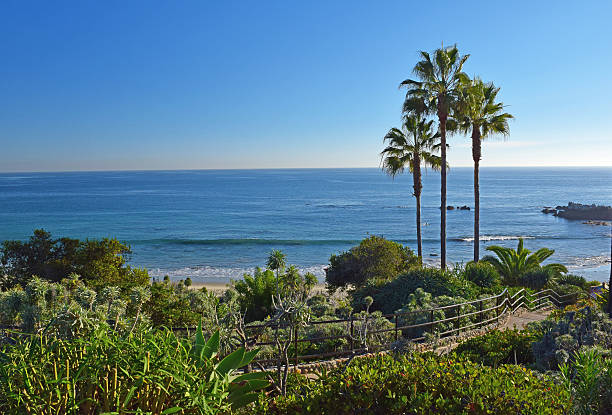 istock Laguna Beach Coastline & Gardens 521575439
