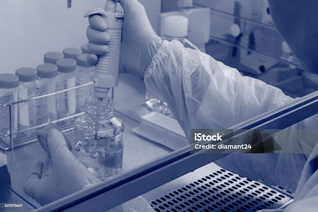 laboratory worker on protective gloves, blue tonation laboratory worker on protective gloves making test samples with pipette, blue tonation Backgrounds Stock Photo