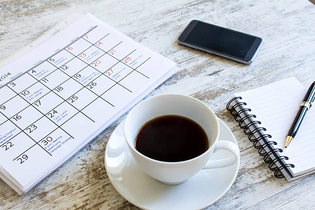 istock Checking monthly activities in the calendar 521575635