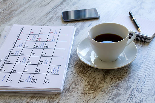 istock Checking monthly activities in the calendar 521575645