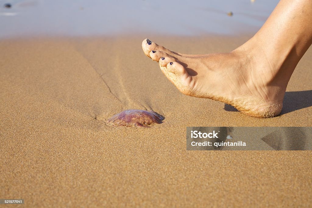 ready to push a medusa woman foot ready to push a medusa in a beach Jellyfish Stock Photo