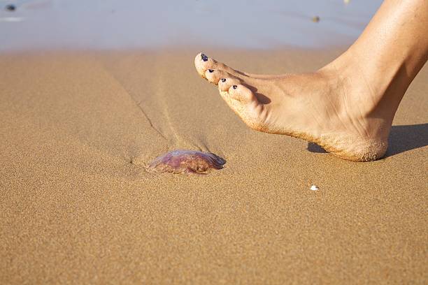 ready to push a medusa woman foot ready to push a medusa in a beach stinging stock pictures, royalty-free photos & images