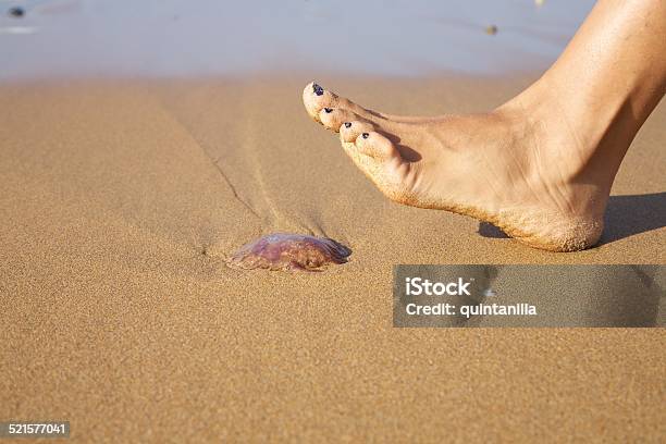 Ready To Push A Medusa Stock Photo - Download Image Now - Jellyfish, Stinging, Beach