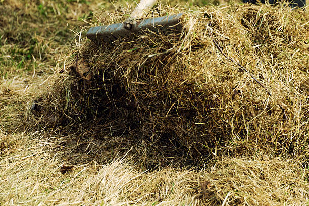 istock rakes hay field landscape 521600796