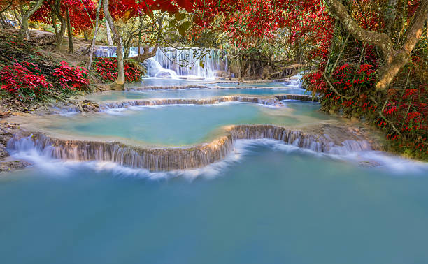 istock Waterfall in rain forest (Tat Kuang Si Waterfalls at Laos. 521604014