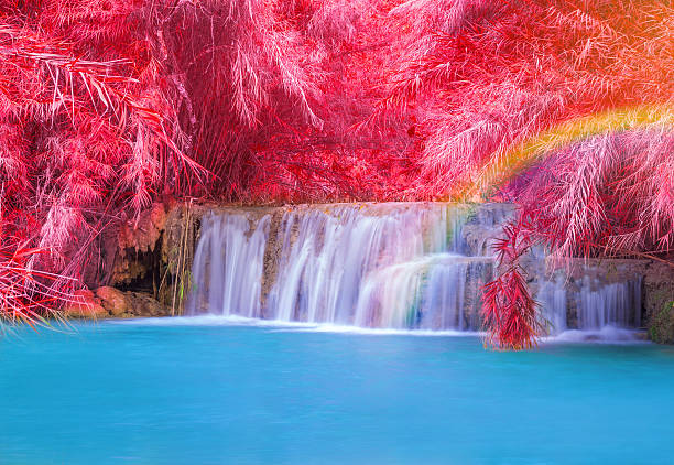 Waterfall in rain forest (Tat Kuang Si Waterfalls at Luang prabang, Laos.)