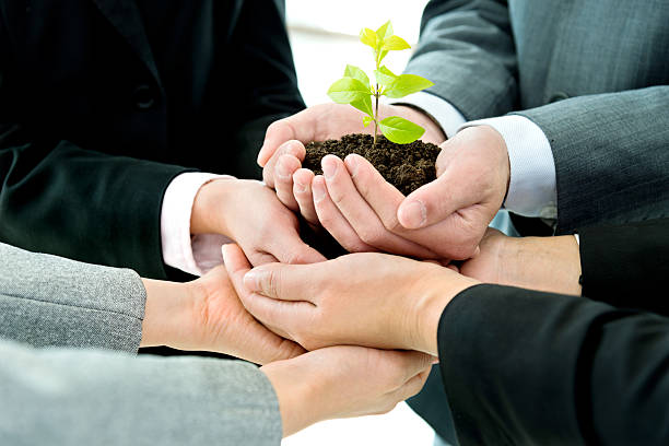 istock Business team holding plant together 521606770