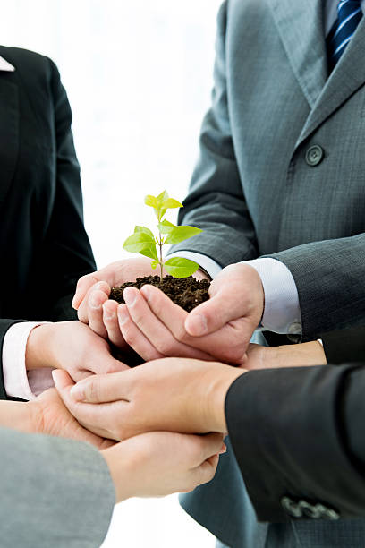 istock Business team holding plant together 521606856