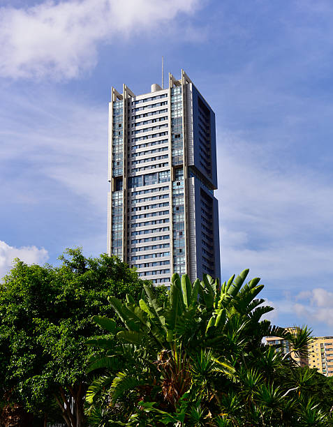 istock Santa Cruz De Tenerife 521607218
