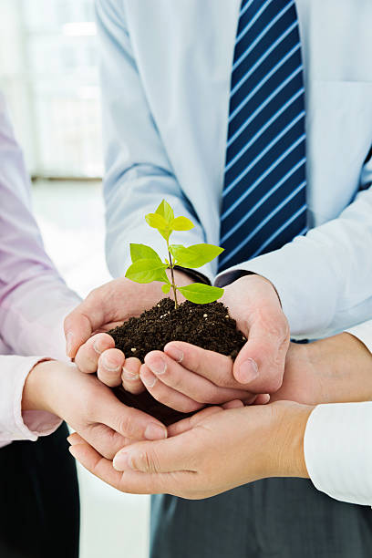 istock Business team holding plant together 521610456
