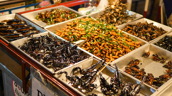 Exotic street food seen in Bangkok, Thailand