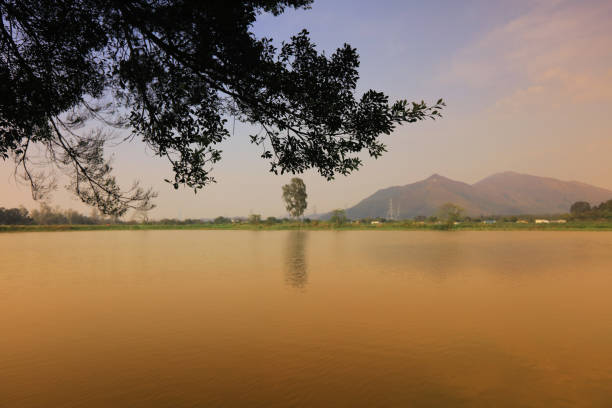 the lake at Shan Pui Tsuen