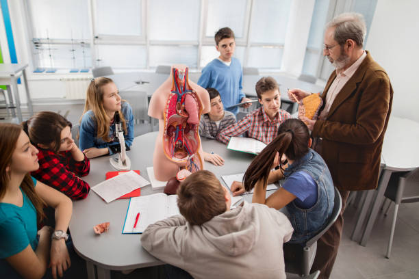 istock Senior teacher teaching students on anatomy class in the classroom. 521613674