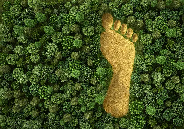 Concept of ecology. Imprint of human footprint in nature. It was here come human foot. 3d illustration