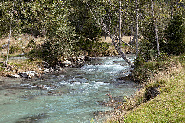 istock In the Seebachtal, Hohe Tauern 521615252