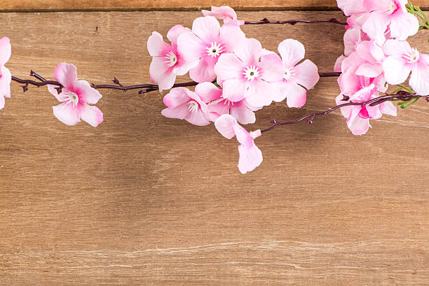 istock The Plastic sakura on wood background, plank 521615820