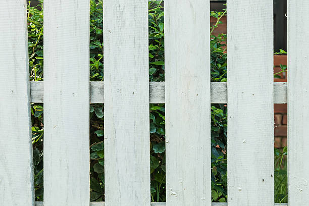 istock White fence in garden background 521617702