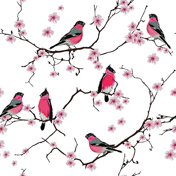 bullfinches z sakura oddziału bezszwowe wektor wzór - spring birdsong bird seamless stock illustrations