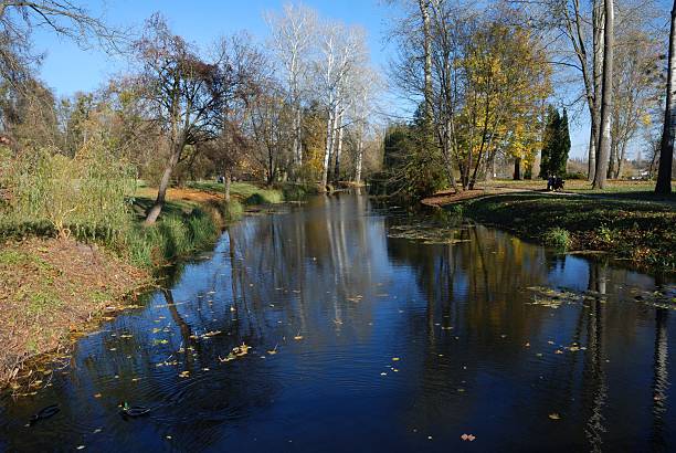 istock Autumn landscape with trees, leaf and a river 521619043