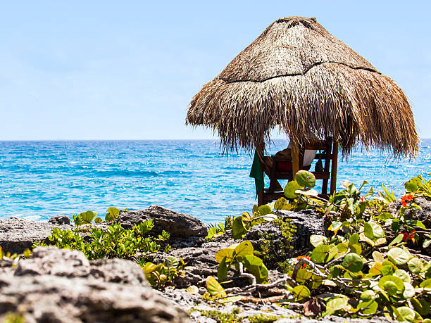 istock Lifeguard hut on Mexican coast 521619329