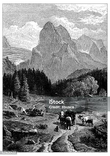 Antique Illustration Of Switzerland Wetterhorn Stock Illustration - Download Image Now - European Alps, Footpath, History