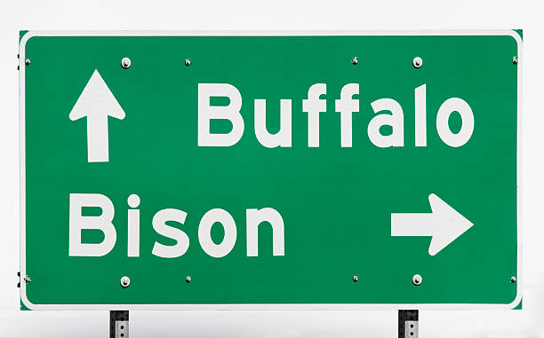 istock Buffalo Bison Road Sign South Dakota 521621049