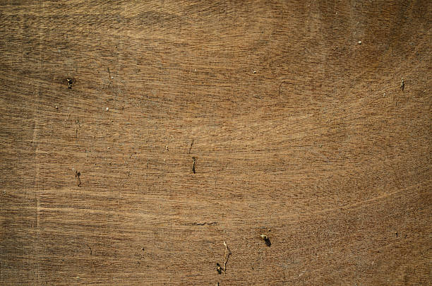 istock Texture of wood background 521621834
