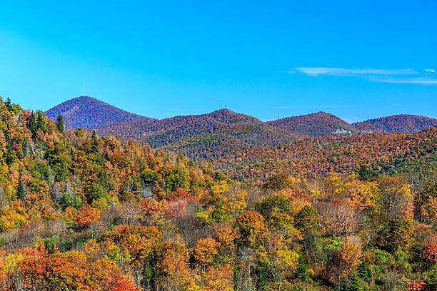 blick auf mount pisgah und frying pan mountain - mount pisgah stock-fotos und bilder