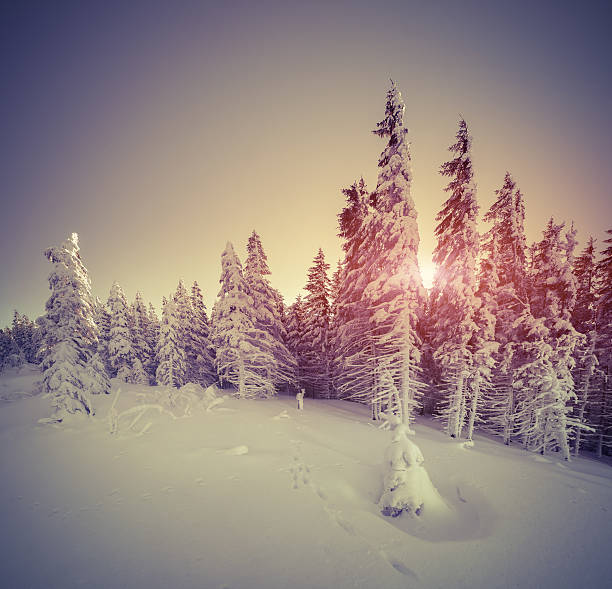 istock Beautiful winter sunrise in the mountains. 521623565