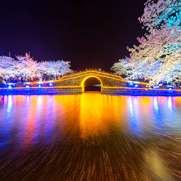 istock Sakura arch night in Wuxi, China 521623656
