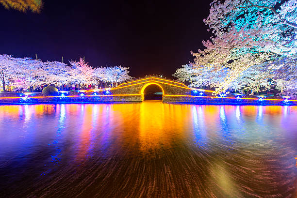 istock Sakura arch night in Wuxi, China 521623768