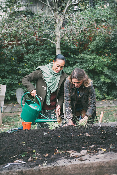 istock Friends working in the garden 521624057