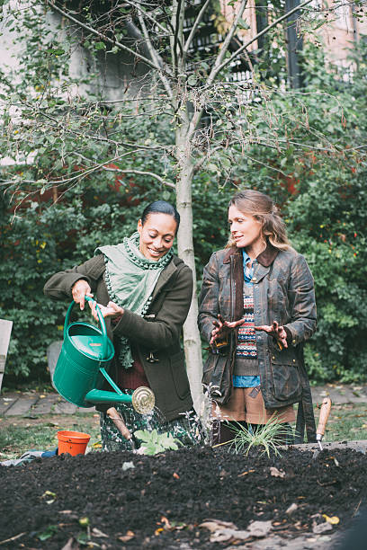 istock Friends working in the garden 521624059