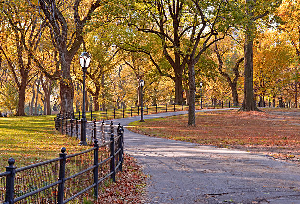 Autumn Color: Fall Foliage in Central Park, Manhattan New York