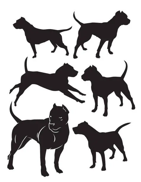 Vector illustration of silhouettes of fighting dogs