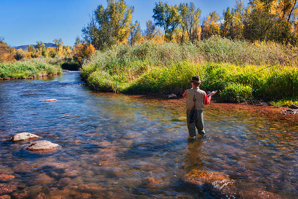 istock Man Fishing the Roaring Fork Valley 521625573
