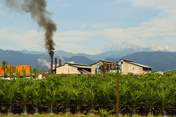 Palm oil factory, Sumatra Indonesia stock photo