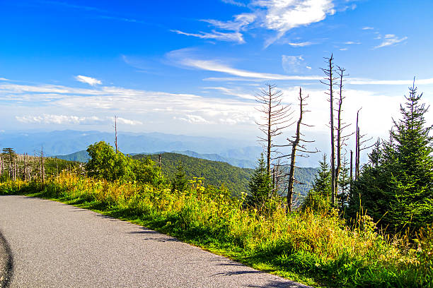 istock Spring Comes To The Great Smoky Mountains National Park 521666565