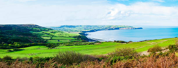 vista panoramica sulla baia di robin cappucci, inghilterra - robin hoods bay foto e immagini stock