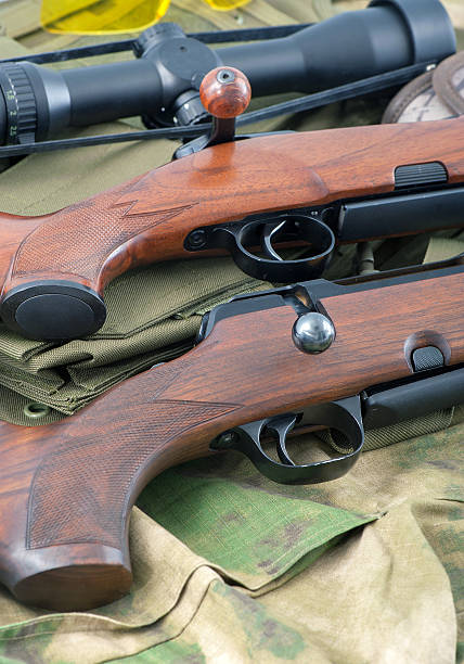 istock Different types of rifle guns 521667605