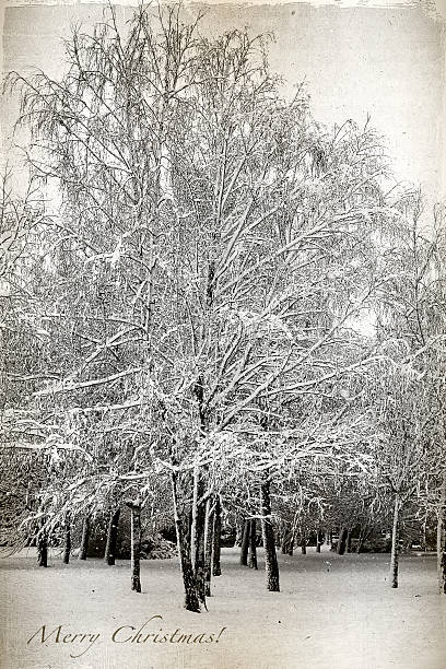 istock Retro card with merry Christmas, birch trees covered in snow 521668643