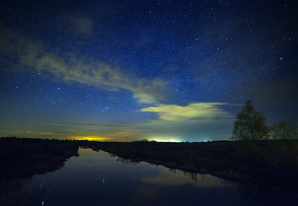 istock beautiful night sky,  Milky Way and the trees 521682461