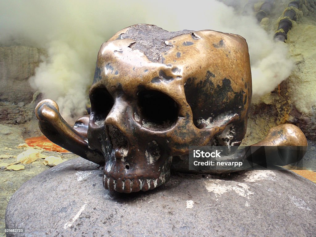 human skull closeup Anatomy Stock Photo