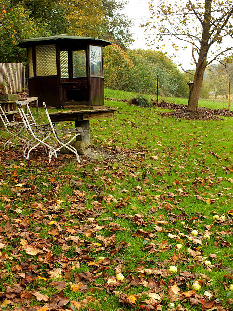 istock Autumn in the garden 521683385