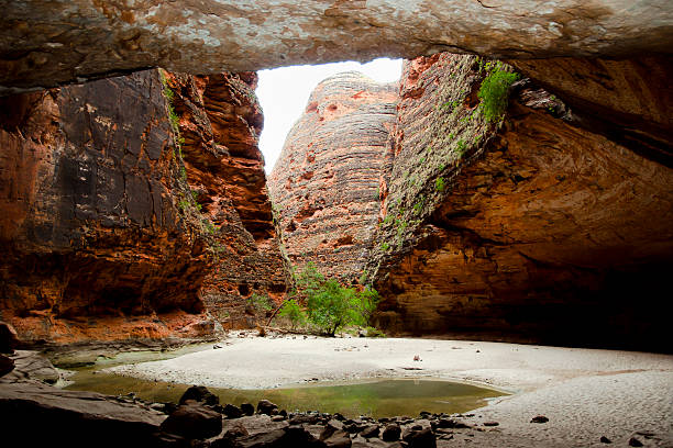 Purnululu National Park - Australia Cathedral Gorge kimberley plain stock pictures, royalty-free photos & images