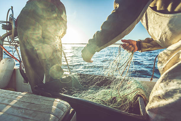 Fishermen hands Fishermen boats in action, Italy. fisherman stock pictures, royalty-free photos & images