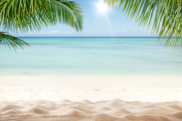 istock Summer sandy beach with blur ocean on background 521687598