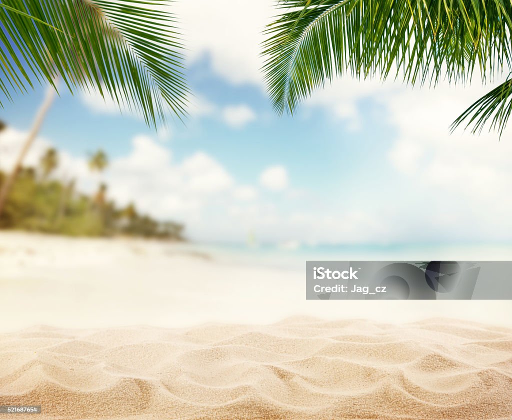 Summer sandy beach with blur ocean on background Summer sandy beach with blur ocean on background. Palm leaves on foreground Beach Stock Photo